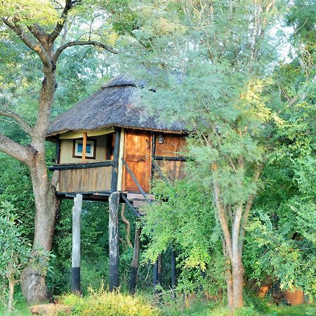 Ivory Lodge Dete Dış mekan fotoğraf