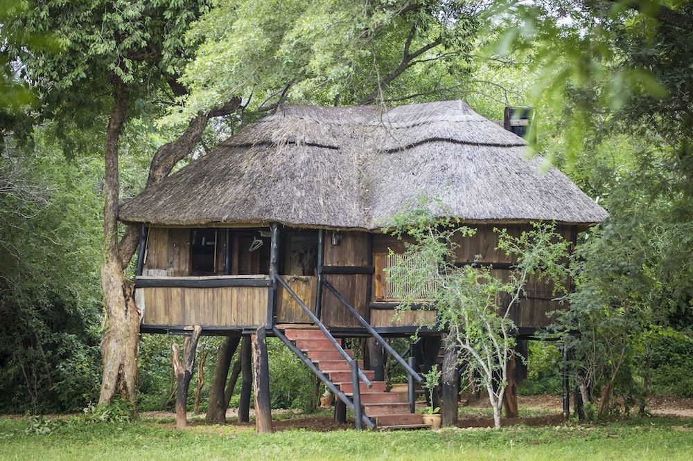 Ivory Lodge Dete Dış mekan fotoğraf