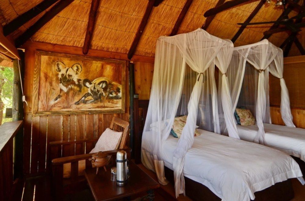 Ivory Lodge Dete Dış mekan fotoğraf