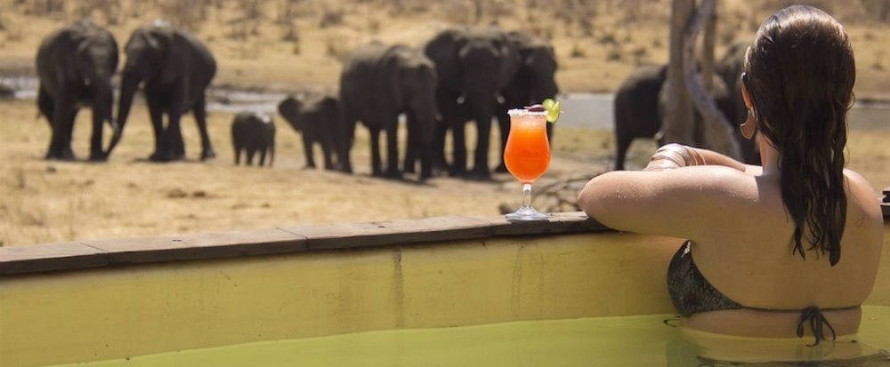 Ivory Lodge Dete Dış mekan fotoğraf