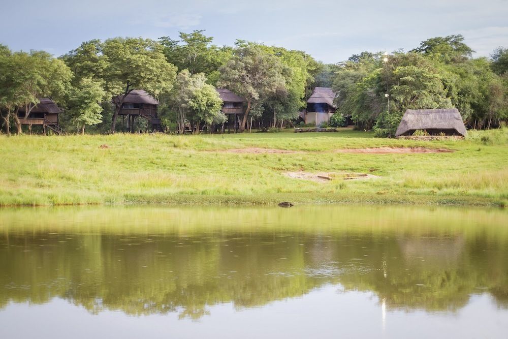 Ivory Lodge Dete Dış mekan fotoğraf