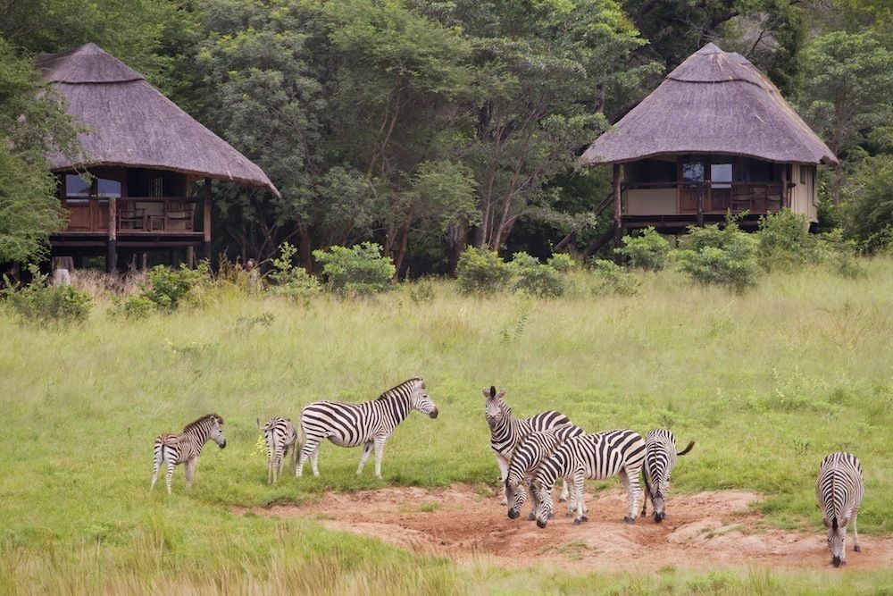Ivory Lodge Dete Dış mekan fotoğraf