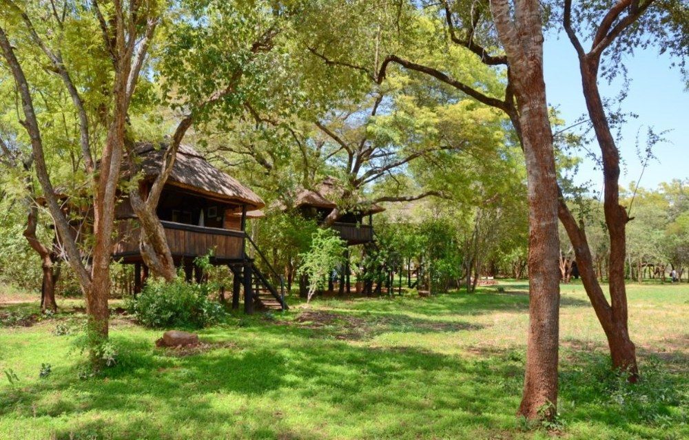 Ivory Lodge Dete Dış mekan fotoğraf