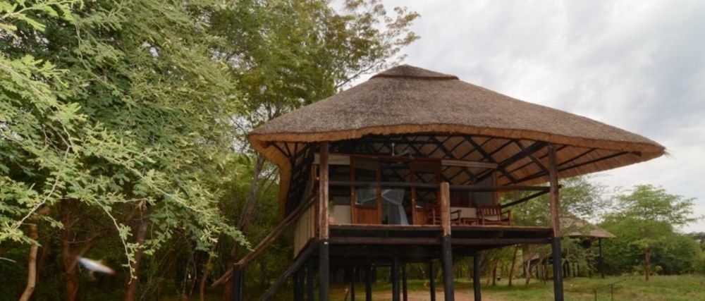 Ivory Lodge Dete Dış mekan fotoğraf
