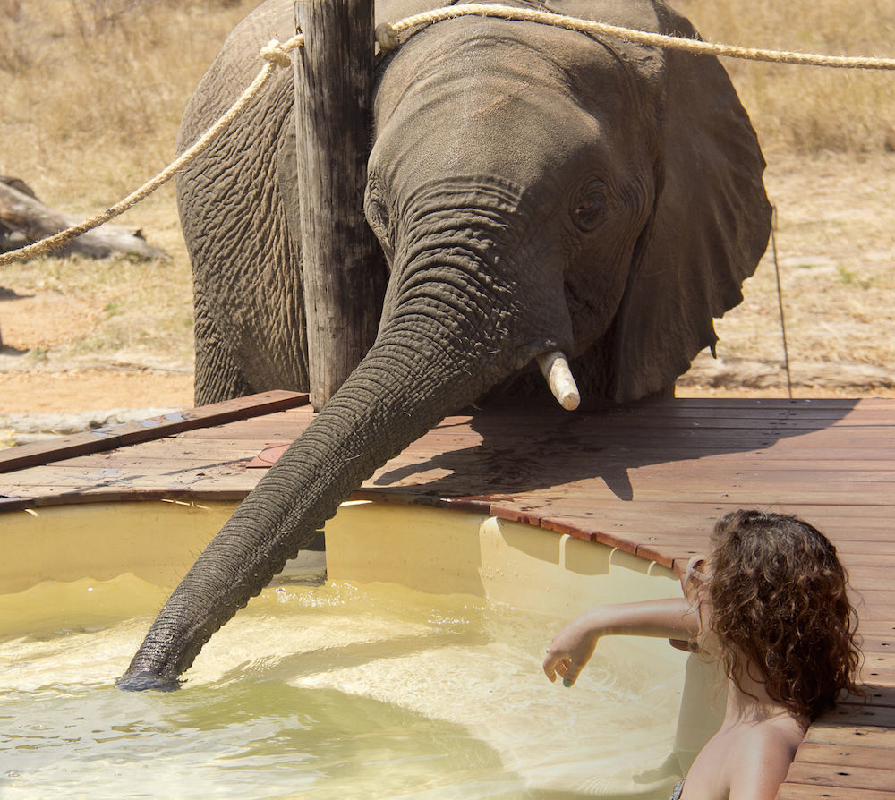 Ivory Lodge Dete Dış mekan fotoğraf