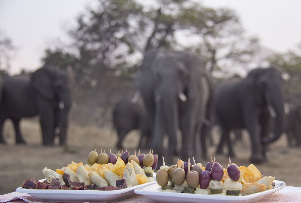 Ivory Lodge Dete Dış mekan fotoğraf