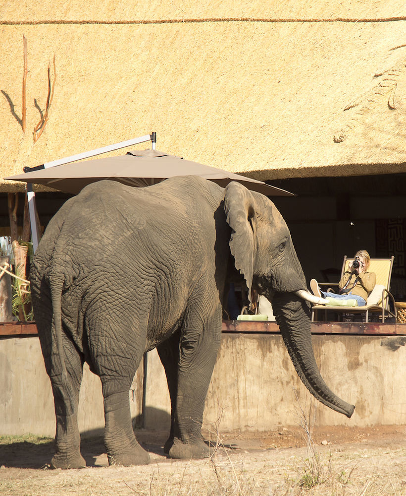 Ivory Lodge Dete Dış mekan fotoğraf