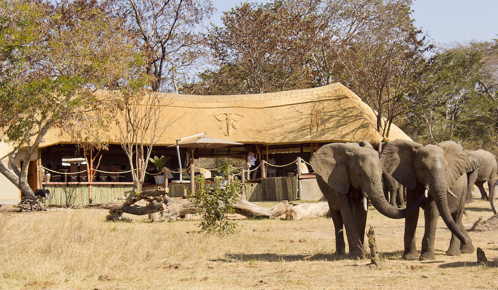 Ivory Lodge Dete Dış mekan fotoğraf