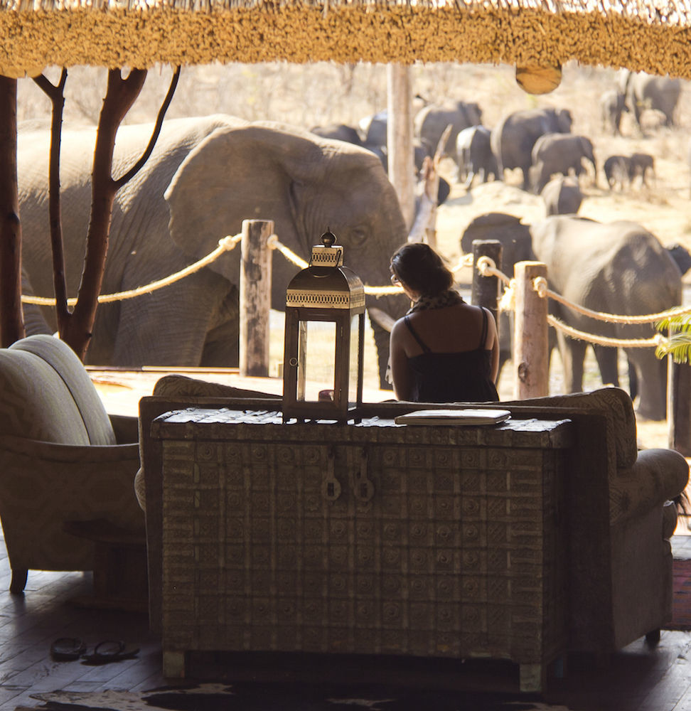 Ivory Lodge Dete Dış mekan fotoğraf