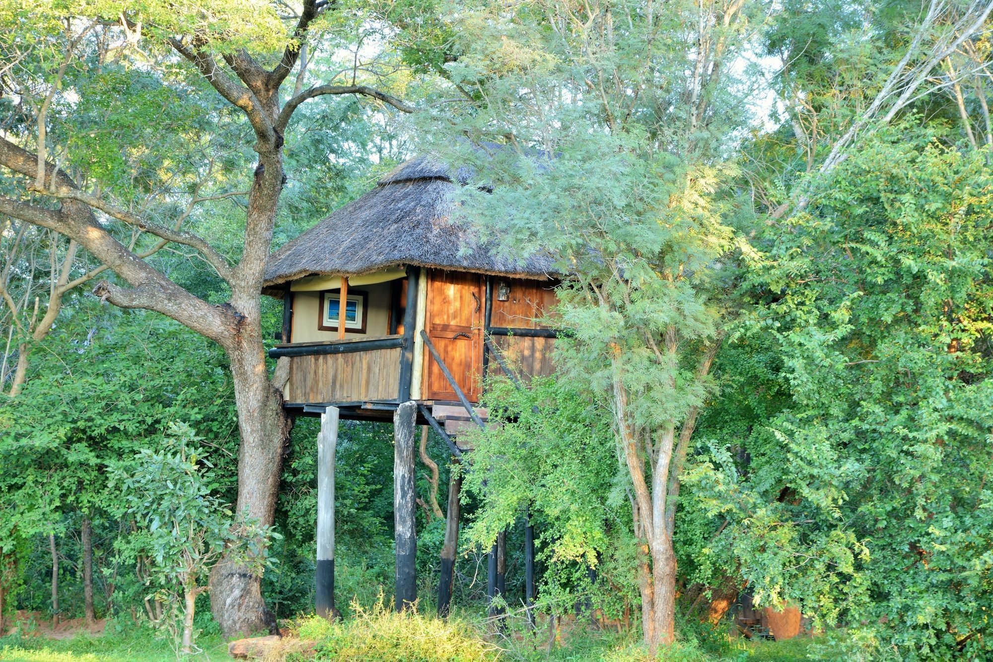 Ivory Lodge Dete Dış mekan fotoğraf